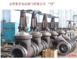 自貢閘閥配套圖片