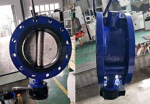 般德案例丨東南亞某公司采購般德蝶閥 軟密封閘閥 蝶式止回閥等產品